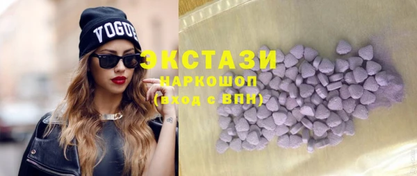 индика Ростов