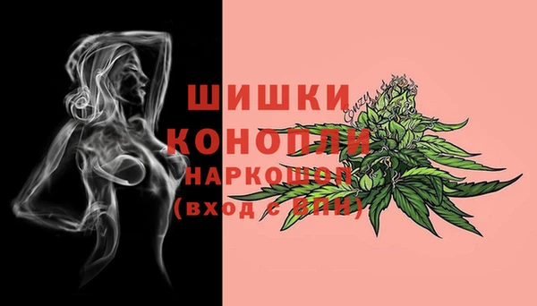 мяу мяу мука Рославль