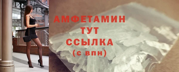 индика Ростов
