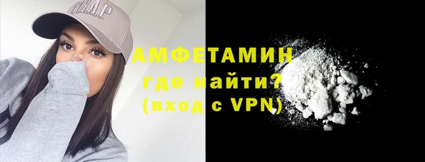 индика Ростов